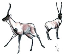 �`�x�b�g�J���V�J