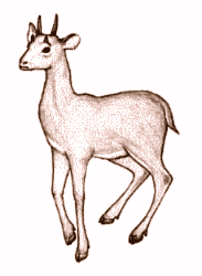 ���c�d�m���C���E