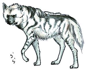 �V�}�n�C�G�i