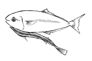 �勛�ɋz�����R�o���U��