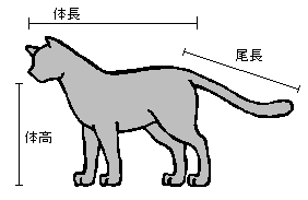 �̒��ɂ���