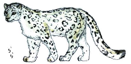 ���L�q���E