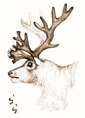 �g�i�J�C�̊p