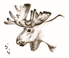 �w���W�J�̊p