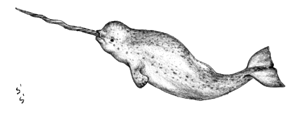 �C�b�J�N�i�C���O�j