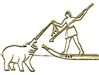 �G�W�v�g�̃J�o���