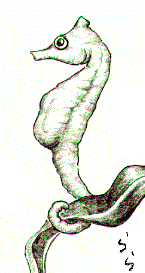 �^�c�m�I�g�V�S