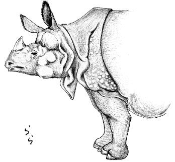 �C���h�T�C