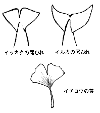 �Ⴂ�̂킩�邵���ۂ̂�����