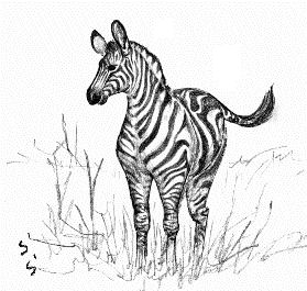 �O�����g�V�}�E�}