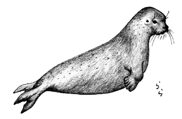 �S�}�t�A�U���V