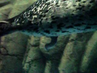 �S�}�t�A�U���V��...