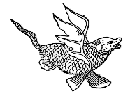 �R�C�o�����L�E���N��