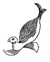 �W���q��