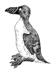 �I�I�E�~�K���X