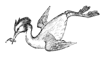 �J�������J�C�c�u��