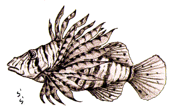 �~�m�J�T�S