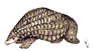 �~�~�Z���U���R�E