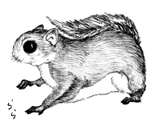 �������K