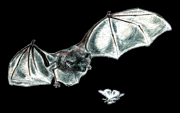 �A�u���R�E����