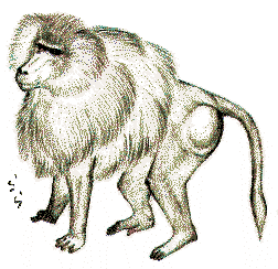 �}���g�q�q