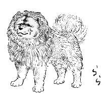 �`���E�`���E