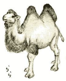 �t�^�R�u���N�_