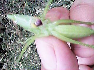 �N�r�L���M�X