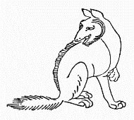 �V���W��