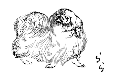 �y�L�j�[�Y