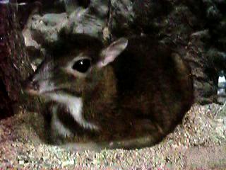 �W�����}���W�J