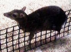 �W�����}���W�J