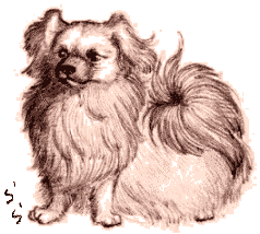 �`�x�^���X�p�j�G��