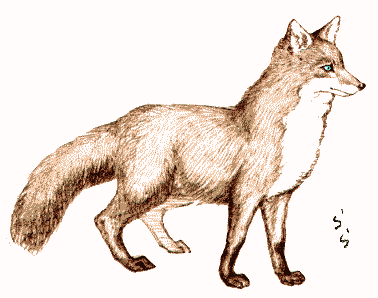 �L�^�L�c�l