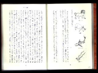 �{���C���[�W