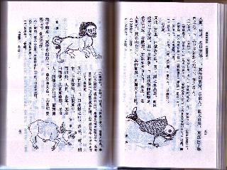 �{���C���[�W