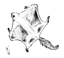 �������K