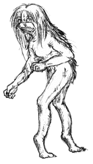 ���z���̐l