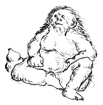 �؂̂悤��... �H