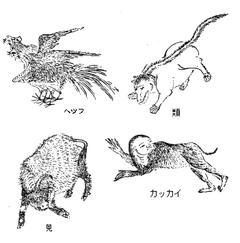 �R�C�o�����