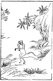 �R�C�o�L���t�}