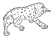 �V���P��