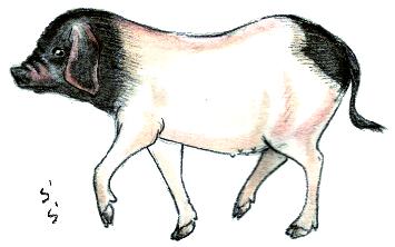 �����G�i���ؒ��j