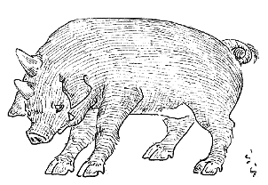 ���E�V�c�̑z���}