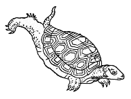 �O�{���̋T