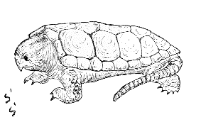 �I�I�N�r�K��