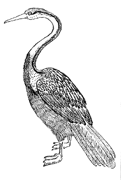 �A�W�A�w�r�E