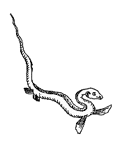 �W���E���E