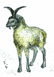 �}���N�X�E���O�^����̃q�c�W