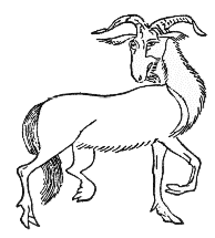 �V�����E